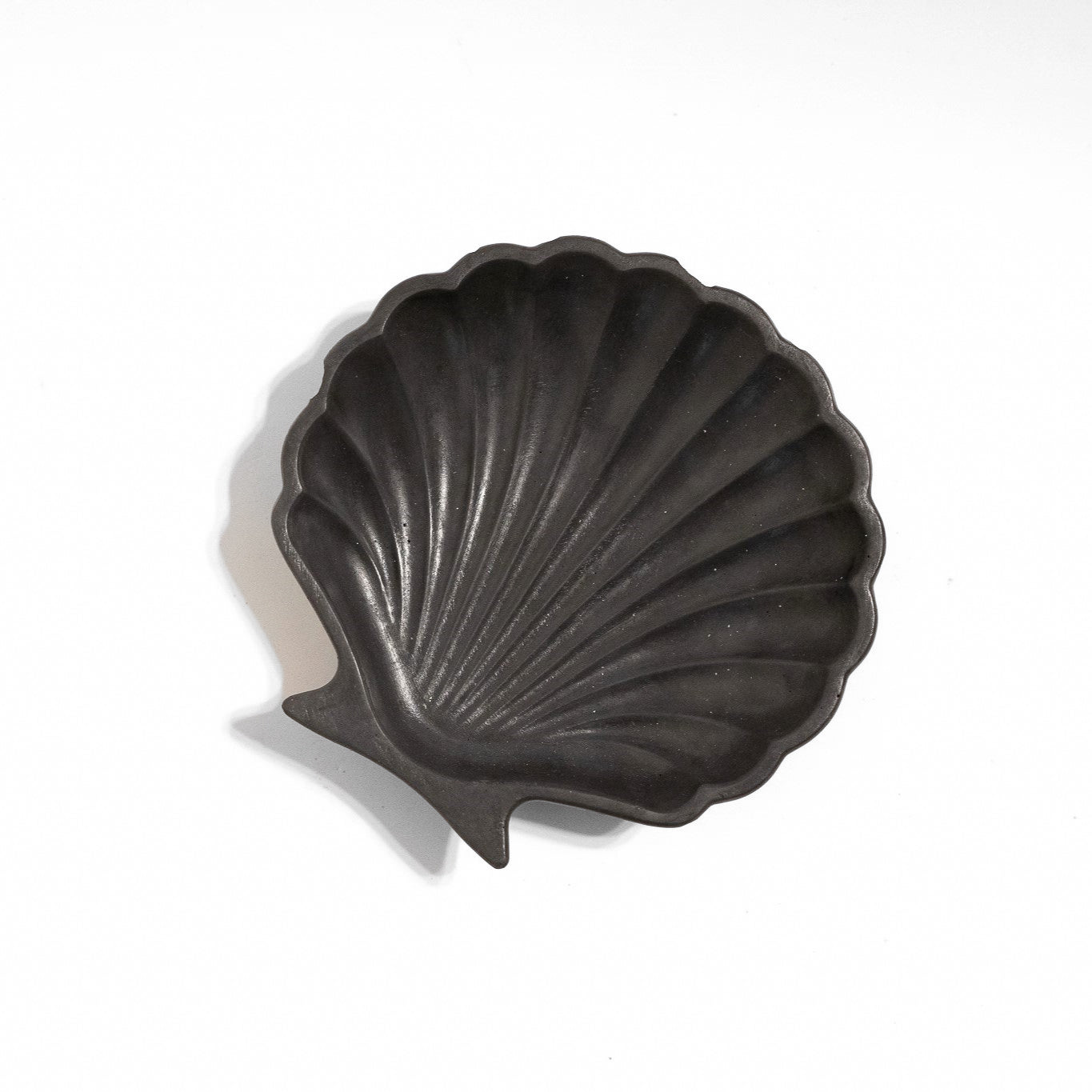 Black Seashell Dish